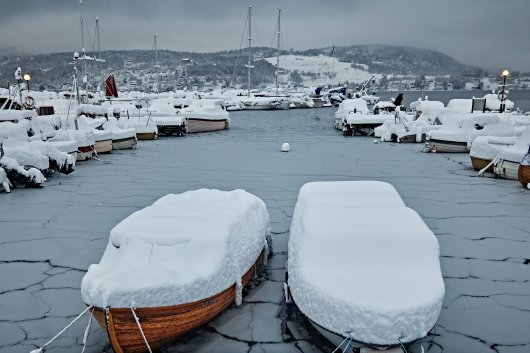 Adapted: During MEPC 73, a photo exhibition entitled 'The Arctic - On Our Watch' will aim to show that this seemingly remote and inaccessible region is home to uniquely adapted communities and wildlife.

