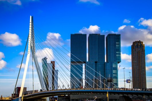 The Erasmus Bridge in Rotterdam.