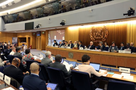 Delegates at the IMO's Marine Environment Protection Committee (MEPC 72) in London.