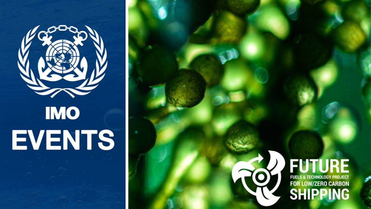 IMO Technical Seminar on Marine Biofuels graphic.