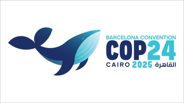 COP24 Cairo, Egypt logo.
