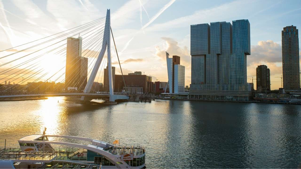 Erasmusbrug bridge in Rotterdam.