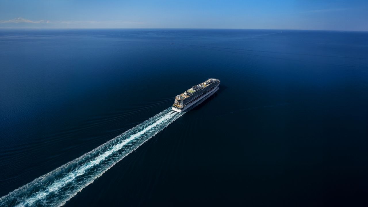 Aerial view of a cruiseship at sea.