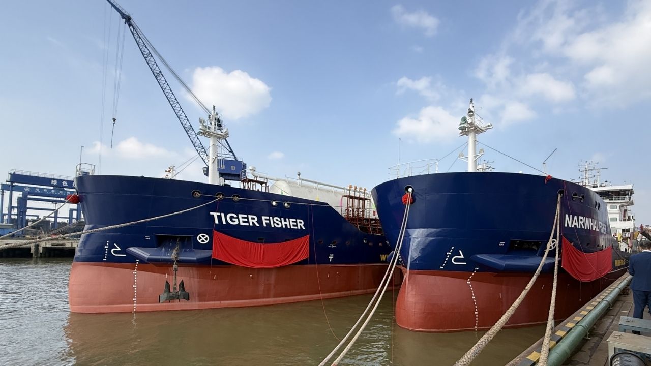 Tiger Fisher vessel alongside Narwhal Fisher vessel