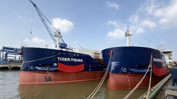 Tiger Fisher vessel alongside Narwhal Fisher vessel.