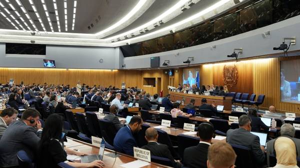 IMO Council 137th session